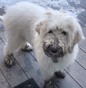 Meet your Posher, Rob & keri